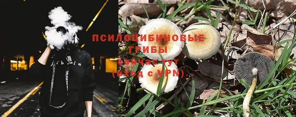 стафф Алзамай
