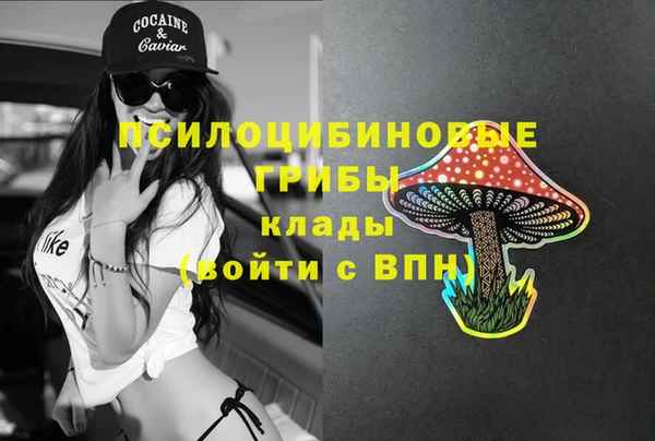 mdpv Михайлов