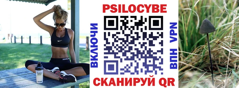 даркнет сайт  Магнитогорск  кракен ТОР  Псилоцибиновые грибы Cubensis 